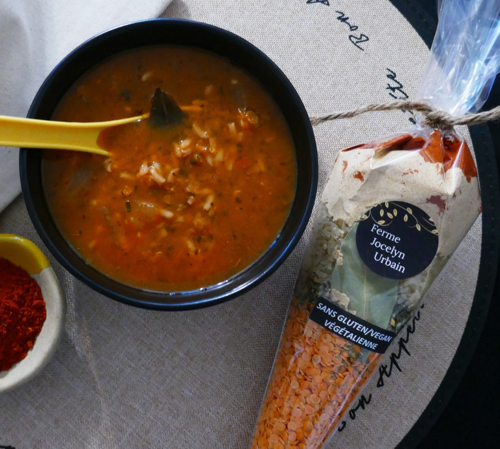 Soupe-Sans-Gluten-vegan-vegetalienne-Ferme-Jocelyn-Urbain-scaled.jpg