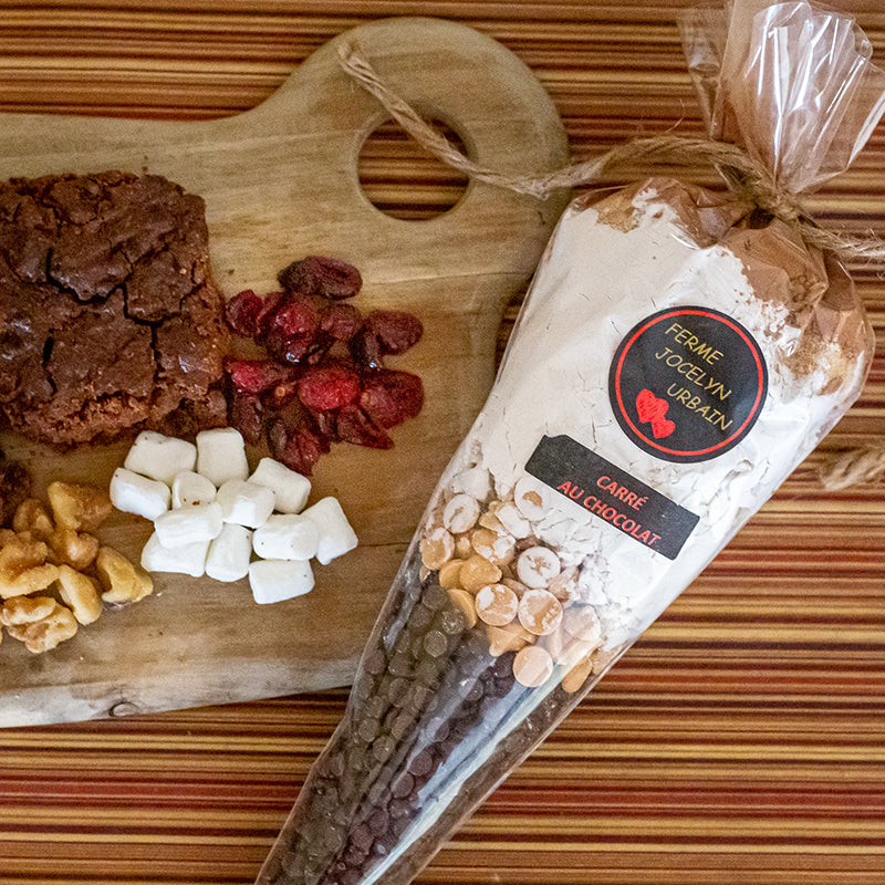 dessert-carre-au-chocolat-canneberge.jpg